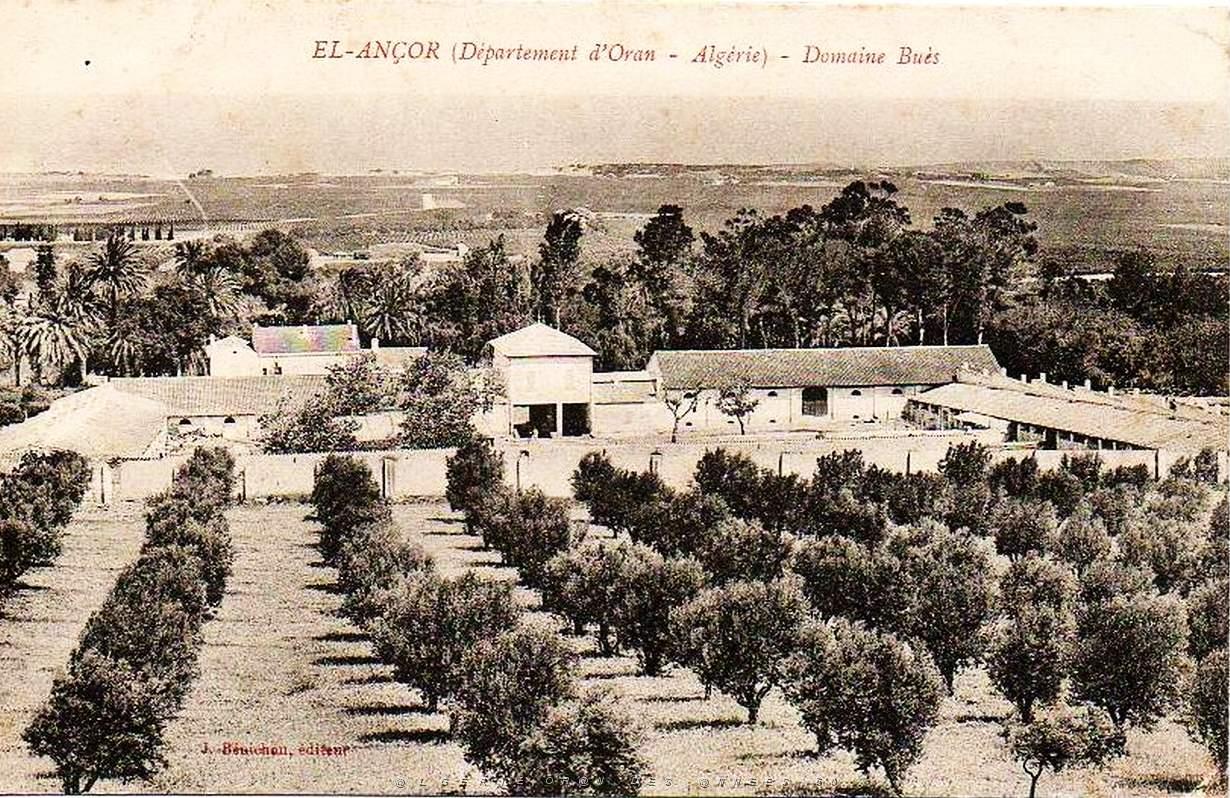 CO jc- 023- El ancor- Andalouses .jpg